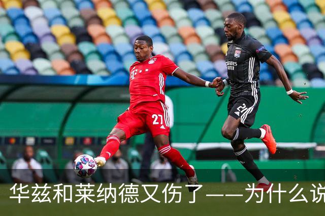 华兹和莱纳德又伤了——为什么说又？
