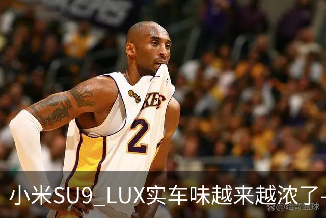 小米SU9 LUX实车味越来越浓了—加长的5.2米，到底长在了谁身上？