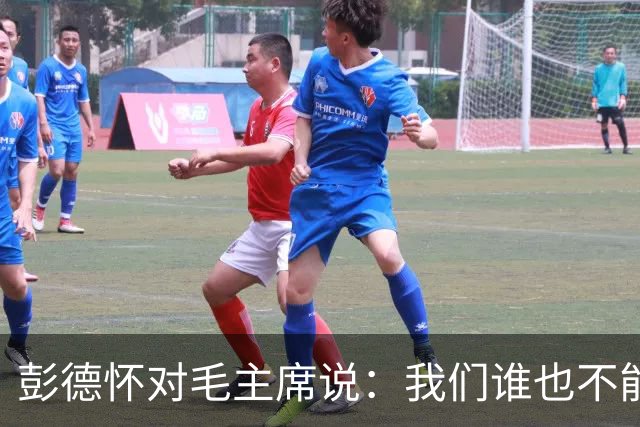 彭德怀对毛主席说：我们谁也不能头脑发热，独断专行