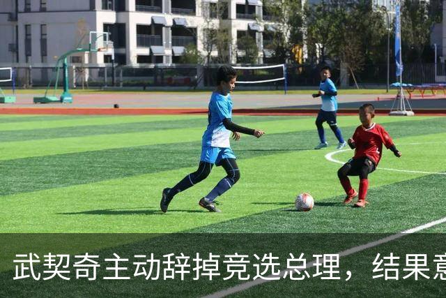 武契奇主动辞掉竞选总理，结果意外翻车，新领导对华态度耐人寻味