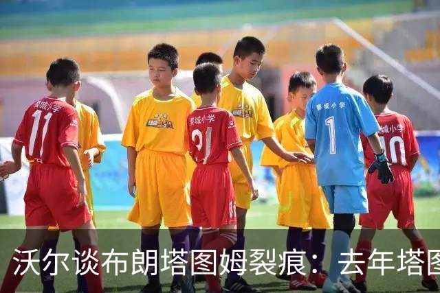 沃尔谈布朗塔图姆裂痕：去年塔图姆的复出是导火索