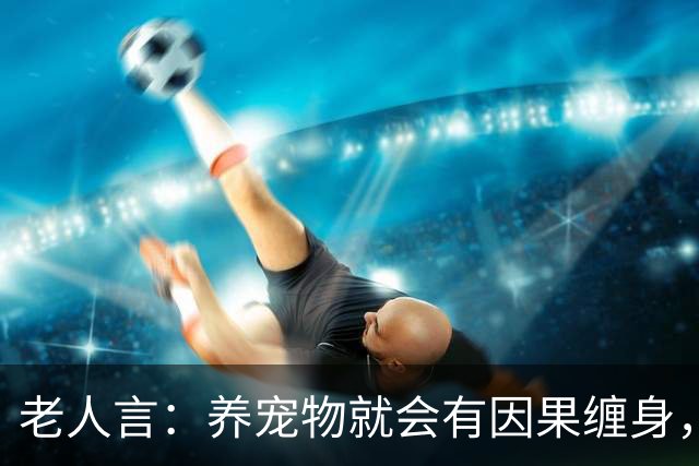 老人言：养宠物就会有因果缠身，这3件事养猫人需要知的冥界规则