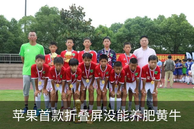 苹果首款折叠屏没能养肥黄牛