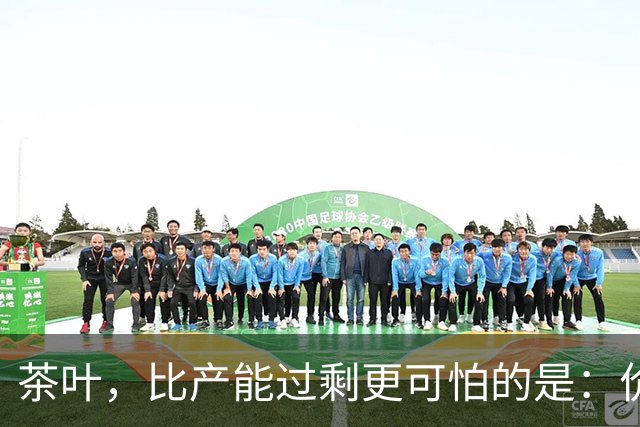 茶叶，比产能过剩更可怕的是：价格虚高，老百姓消费不起茶！