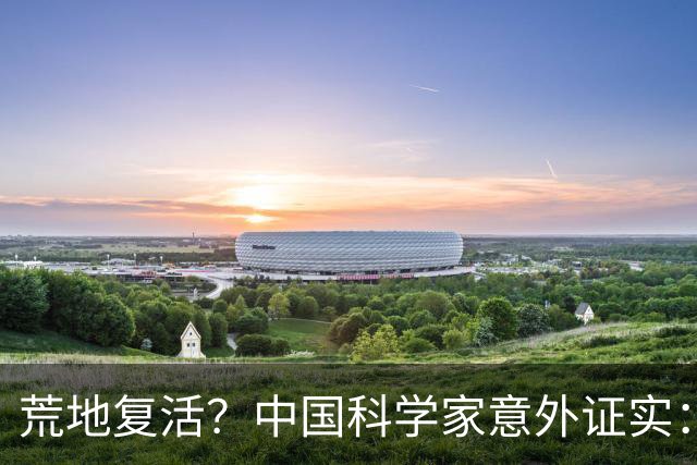 荒地复活？中国科学家意外证实：铺光伏板，竟然沙漠长出了草