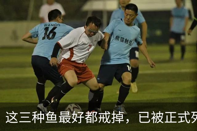 这三种鱼最好都戒掉，已被正式列入致癌清单，再馋嘴也要忍住