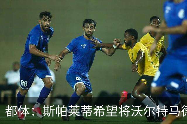 都体：斯帕莱蒂希望将沃尔特马德塑造成一名真正的9号位中锋